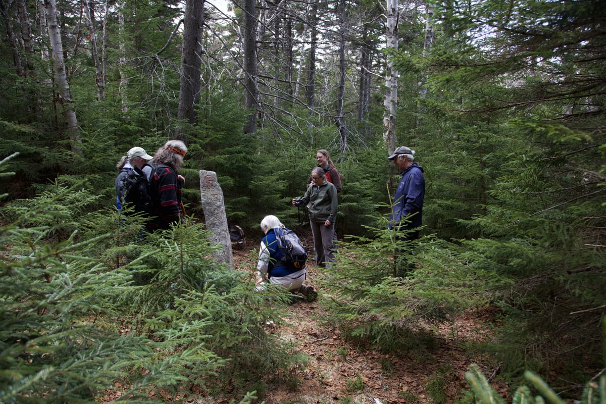 Six people in hiking gear gathered in a small clearing in dense forest around an irregular granite post about 5 feet tall
